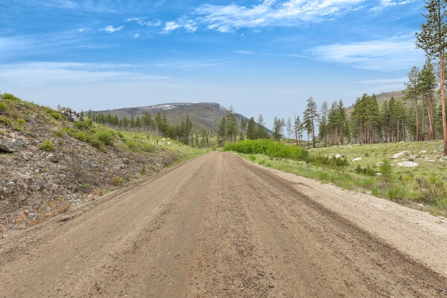 LOT11 Roaring Lion Rd, Hamilton, MT 59840