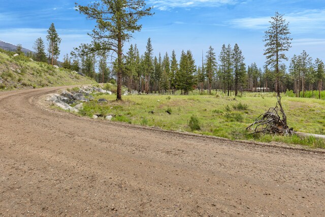 LOT11 Roaring Lion Rd, Hamilton, MT 59840