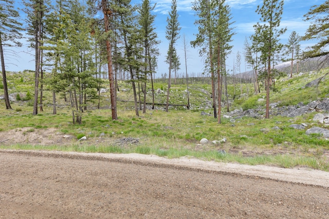 LOT11 Roaring Lion Rd, Hamilton, MT 59840