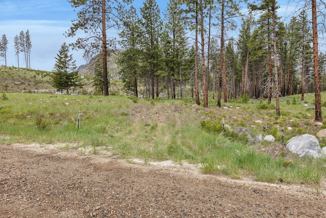 LOT11 Roaring Lion Rd, Hamilton, MT 59840