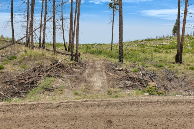 LOT11 Roaring Lion Rd, Hamilton, MT 59840