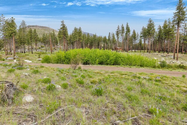 LOT11 Roaring Lion Rd, Hamilton, MT 59840
