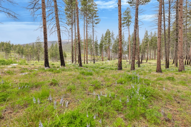LOT11 Roaring Lion Rd, Hamilton, MT 59840