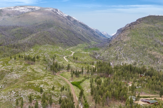 LOT11 Roaring Lion Rd, Hamilton, MT 59840