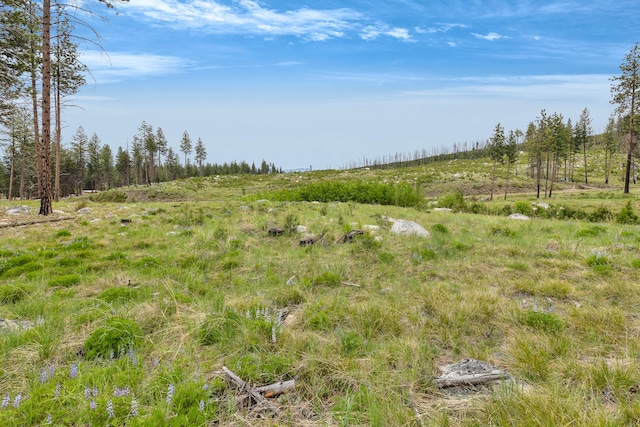 LOT11 Roaring Lion Rd, Hamilton, MT 59840