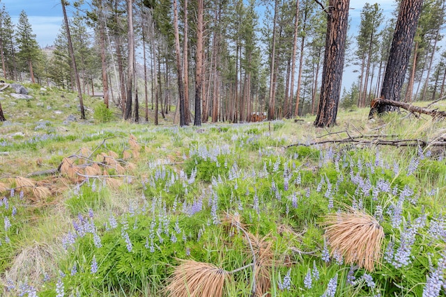 LOT11 Roaring Lion Rd, Hamilton, MT 59840