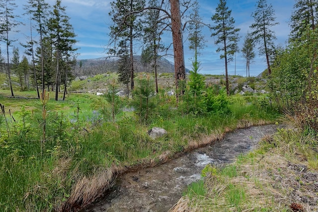 LOT11 Roaring Lion Rd, Hamilton, MT 59840
