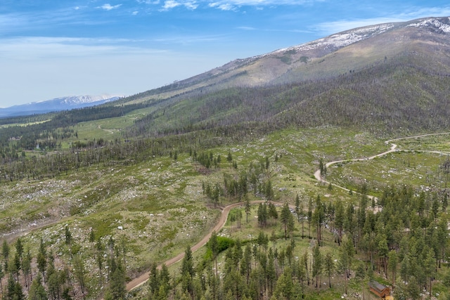 LOT11 Roaring Lion Rd, Hamilton, MT 59840