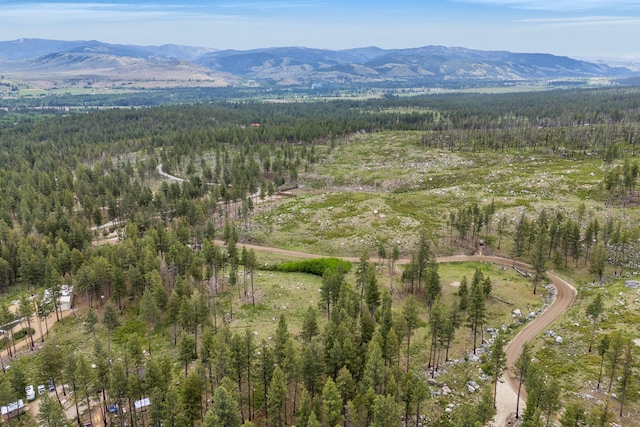 LOT11 Roaring Lion Rd, Hamilton, MT 59840