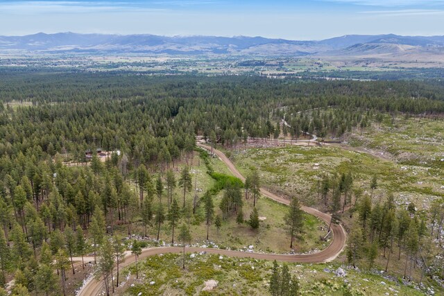 LOT11 Roaring Lion Rd, Hamilton, MT 59840