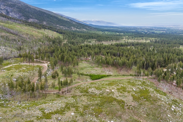 LOT11 Roaring Lion Rd, Hamilton, MT 59840