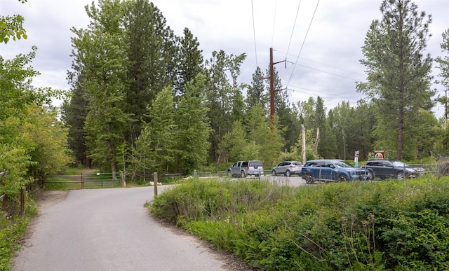 215 Tower St, Missoula, MT 59804 - view of asphalt street with a forest view