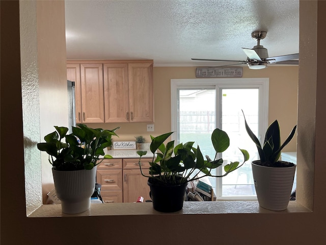 4239 7th Ave N, Great Falls, MT 59405 - detailed view of a ceiling fan, a textured ceiling, and crown molding