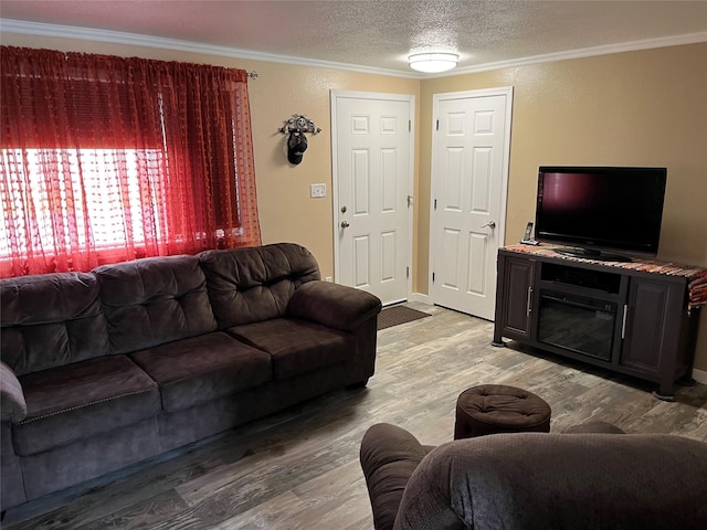 4239 7th Ave N, Great Falls, MT 59405 - living area with ornamental molding, light wood finished floors, and a textured ceiling