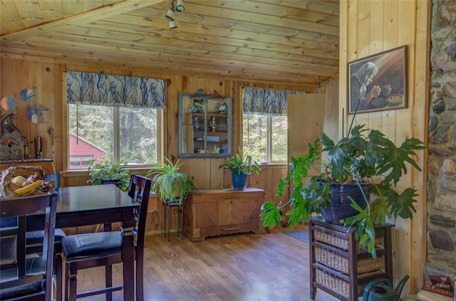 8229 York Rd, Helena, MT 59602 - dining space featuring wooden ceiling, wooden walls, wood finished floors, and lofted ceiling