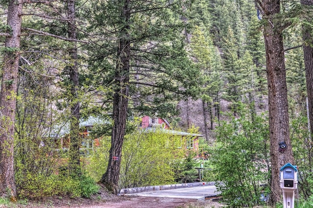 8229 York Rd, Helena, MT 59602 - view of yard featuring a forest view