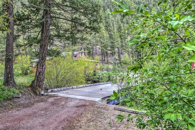 8229 York Rd, Helena, MT 59602 - view of yard featuring dirt driveway and a wooded view