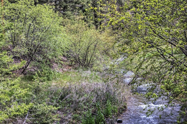 8229 York Rd, Helena, MT 59602 - view of nature