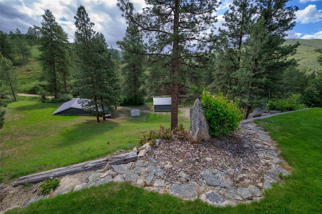 5380 US Highway 93, Conner, MT 59827 - view of green lawn featuring a wooded view