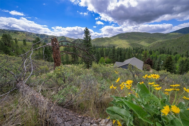 5380 US Highway 93, Conner, MT 59827 - mountain view with a heavily wooded area