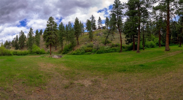 5380 US Highway 93, Conner, MT 59827 - view of grassy yard