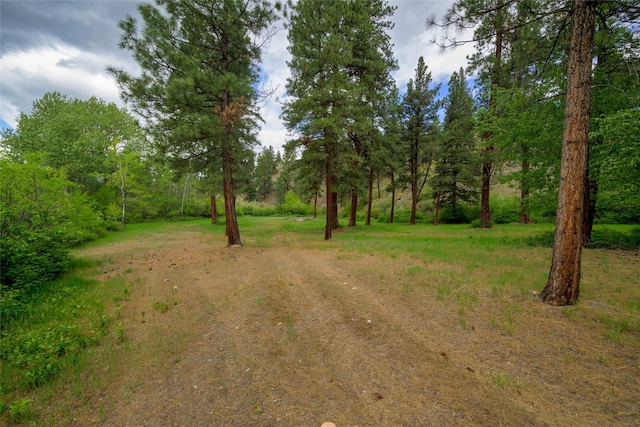 5380 US Highway 93, Conner, MT 59827 - view of yard featuring driveway