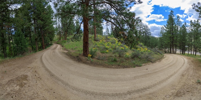 5380 US Highway 93, Conner, MT 59827 - view of dirt / gravel road