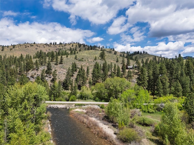 5380 US Highway 93, Conner, MT 59827 - view of mountain background