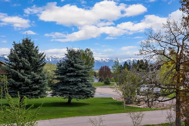 30 Panoramic Dr, Kalispell, MT 59901 - surrounding community with a yard and a mountain view