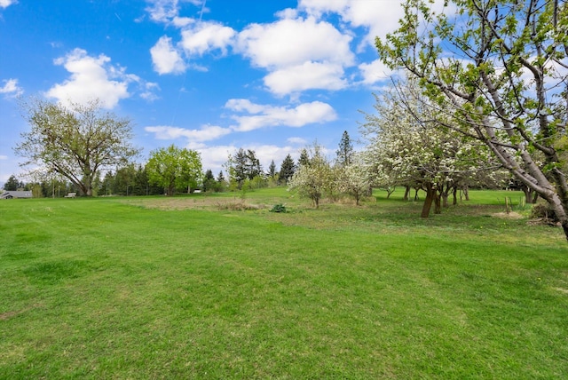 30 Panoramic Dr, Kalispell, MT 59901 - view of grassy yard featuring a view of rural / pastoral area