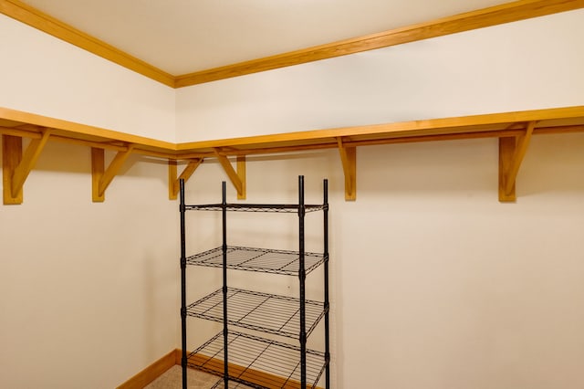 629 Alvista Loop, Hamilton, MT 59840 - view of spacious closet