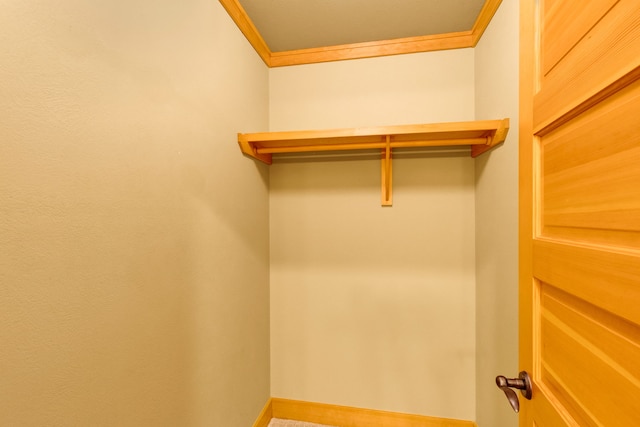 629 Alvista Loop, Hamilton, MT 59840 - view of walk in closet
