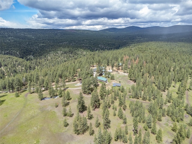 3185 Hubbart Dam Rd, Marion, MT 59925 - aerial view of a forest and mountains