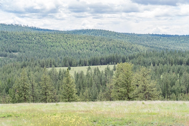 3185 Hubbart Dam Rd, Marion, MT 59925 - mountain view with a forest
