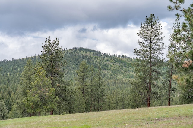 3185 Hubbart Dam Rd, Marion, MT 59925 - mountain view with a forest