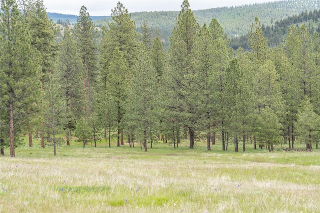 3185 Hubbart Dam Rd, Marion, MT 59925 - view of tree filled area