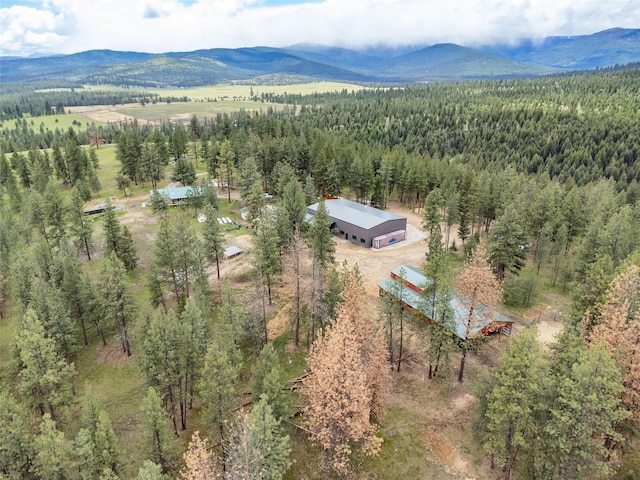 3185 Hubbart Dam Rd, Marion, MT 59925 - view of subject property featuring a mountain backdrop and a heavily wooded area