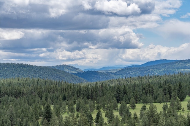 3185 Hubbart Dam Rd, Marion, MT 59925 - view of mountain backdrop with a heavily wooded area