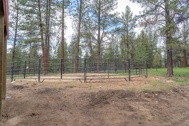 3185 Hubbart Dam Rd, Marion, MT 59925 - view of yard