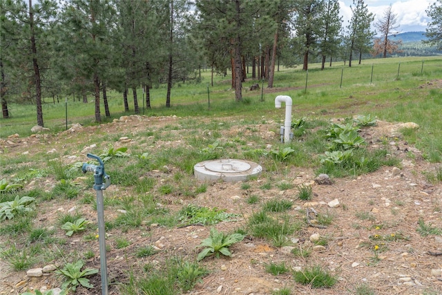 3185 Hubbart Dam Rd, Marion, MT 59925 - view of yard