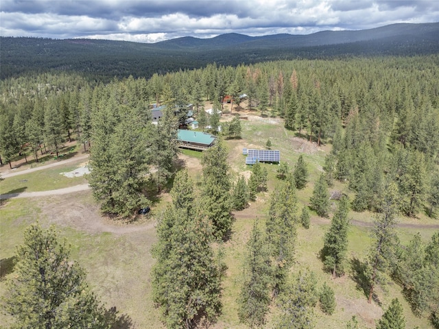 3185 Hubbart Dam Rd, Marion, MT 59925 - bird's eye view of a forest and a mountainous background
