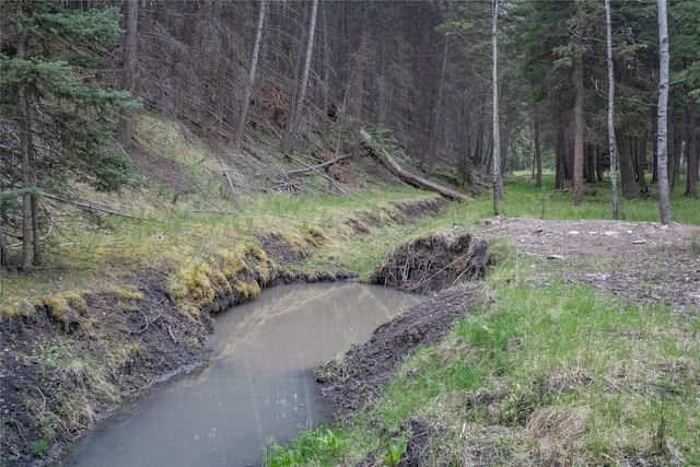 3185 Hubbart Dam Rd, Marion, MT 59925 - view of yard with a forest view