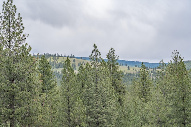 3185 Hubbart Dam Rd, Marion, MT 59925 - water view