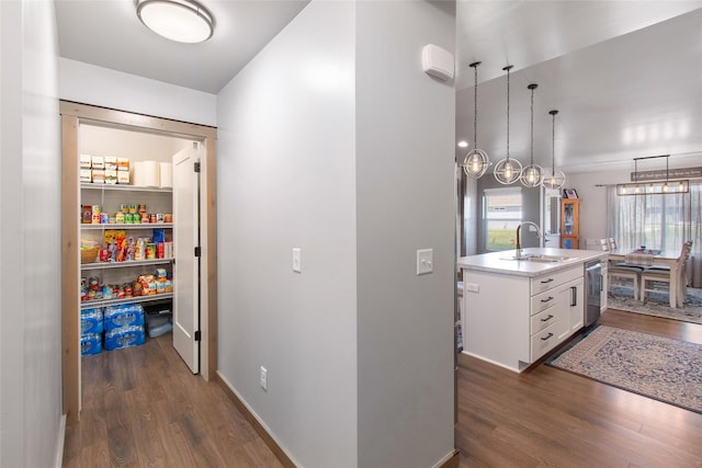3870 Swan Rd, East Helena, MT 59635 - pantry with a sink