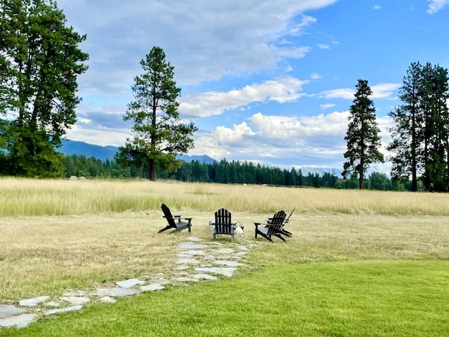 27 Elk Meadow Ln, Kalispell, MT 59901 - view of yard