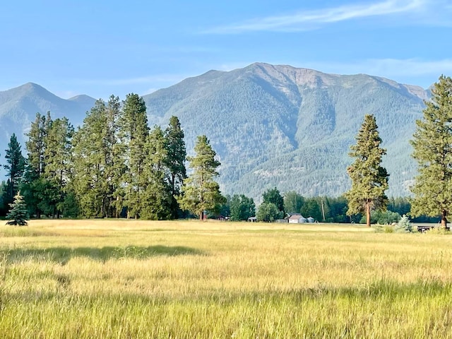 27 Elk Meadow Ln, Kalispell, MT 59901 - view of mountain backdrop featuring a heavily wooded area