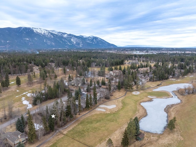 654 Saint Andrews Dr, Columbia Falls, MT 59912