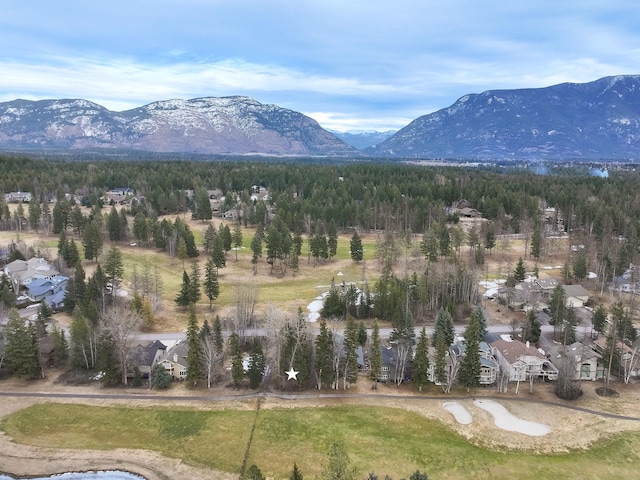 654 Saint Andrews Dr, Columbia Falls, MT 59912