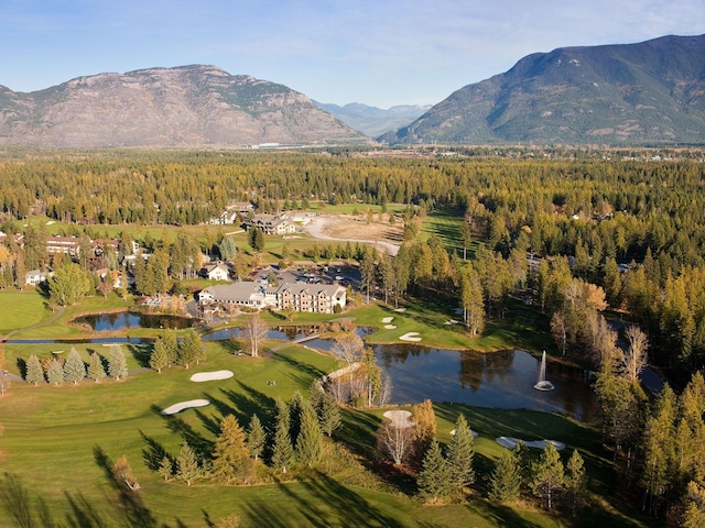 654 Saint Andrews Dr, Columbia Falls, MT 59912