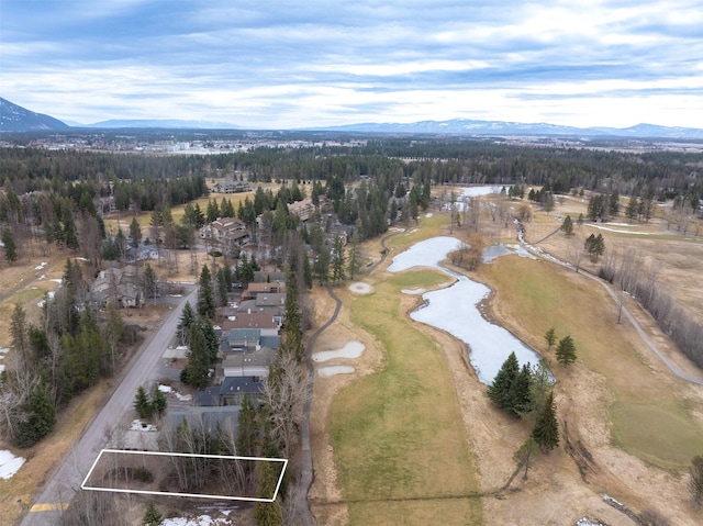 654 Saint Andrews Dr, Columbia Falls, MT 59912